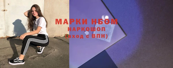 гидра Бородино