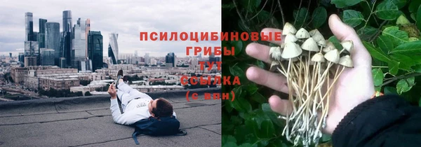 МДПВ Богданович