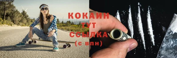 трава Богородицк