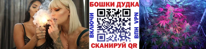 Купить где  Югорск  Канабис сатива 